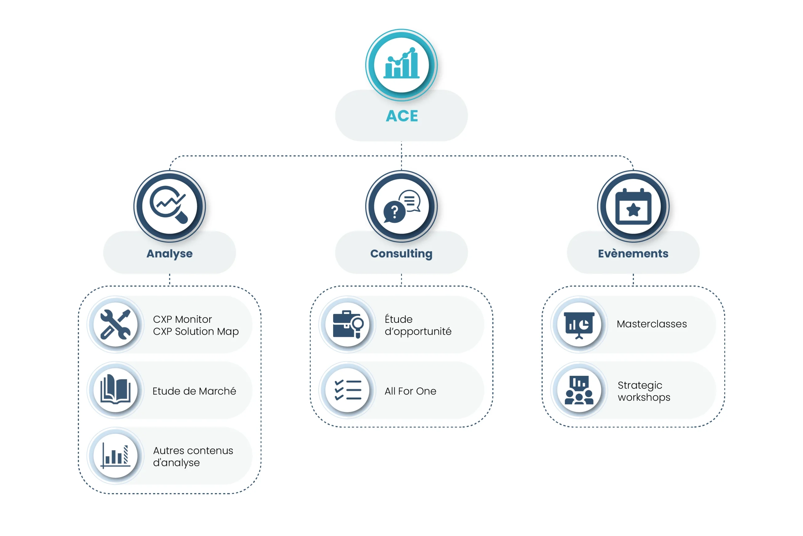 schéma de l'Offre ACE, analyse, consulting et événement